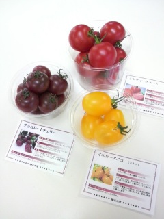 TOMATO��