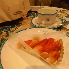 �L���t�F�{����