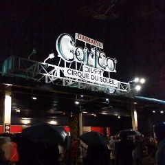 Corteo��